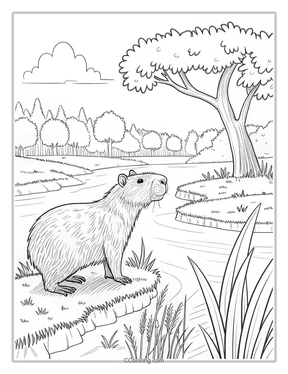 Capybara Coloring Pages Capybara by a Pond