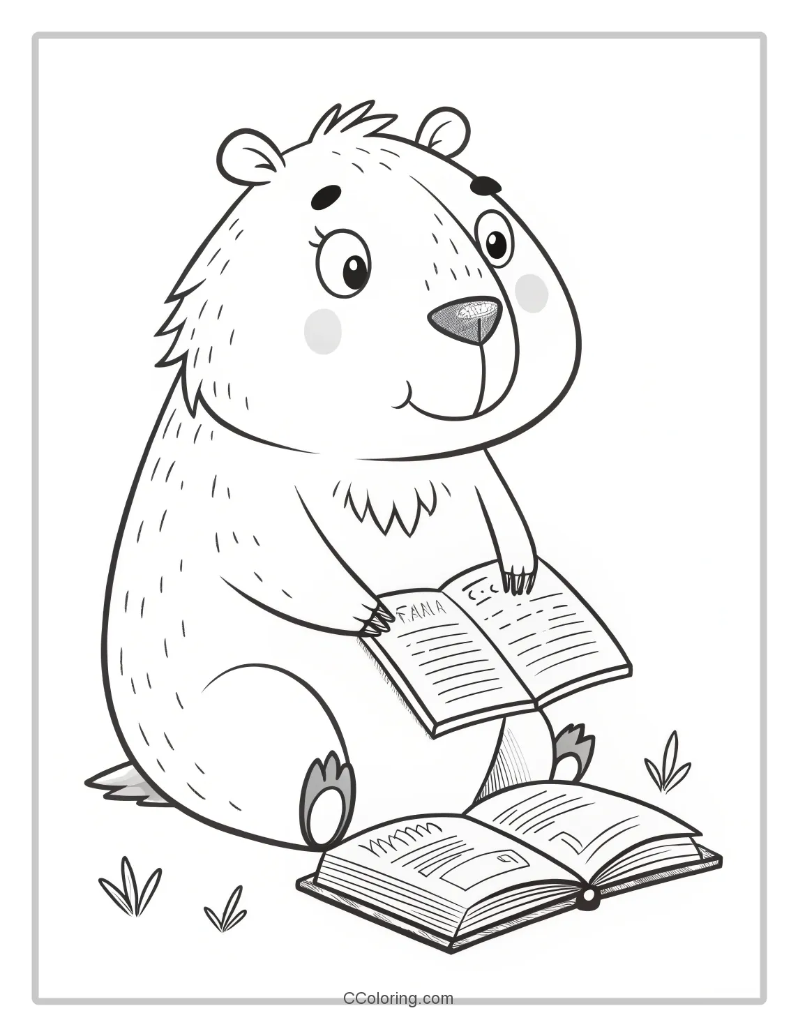 Capybara coloring pages a Book