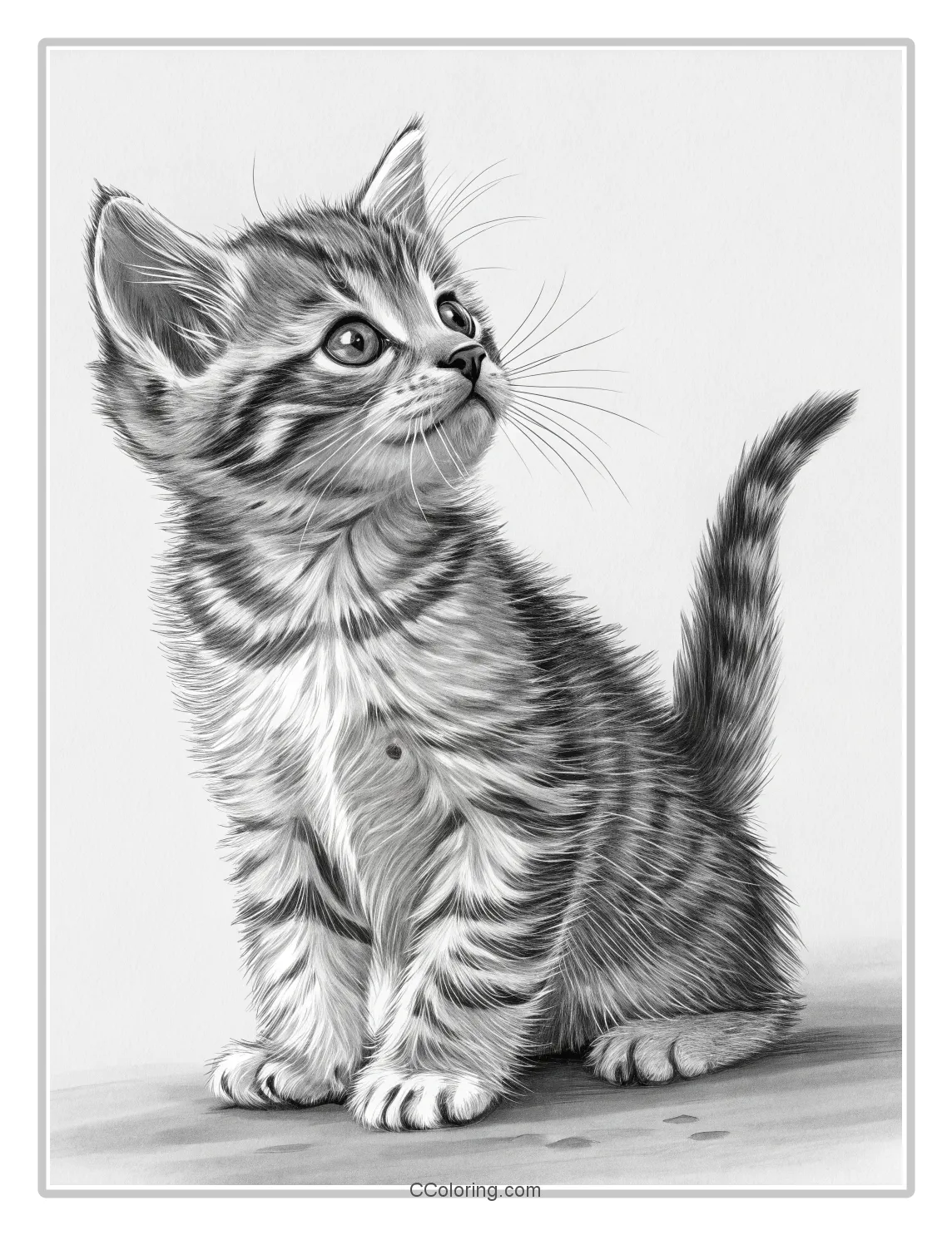 Kitten Coloring Pages with Liquid Metal Shine