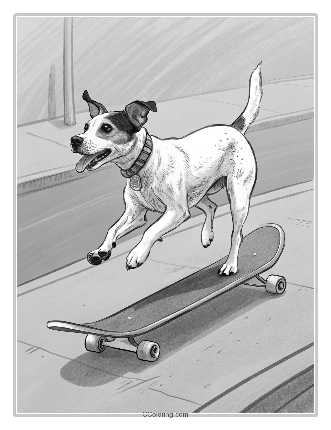 Monochrome Dog Scenes Dog Running with a Skateboard