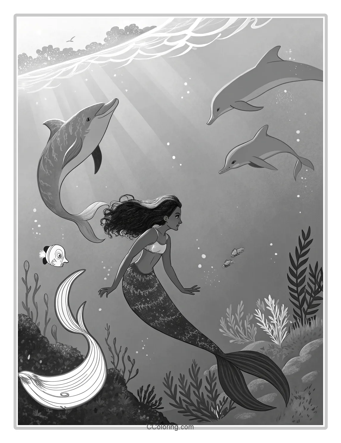Monochrome Mermaid Scenes with Basic Dolphin Friends