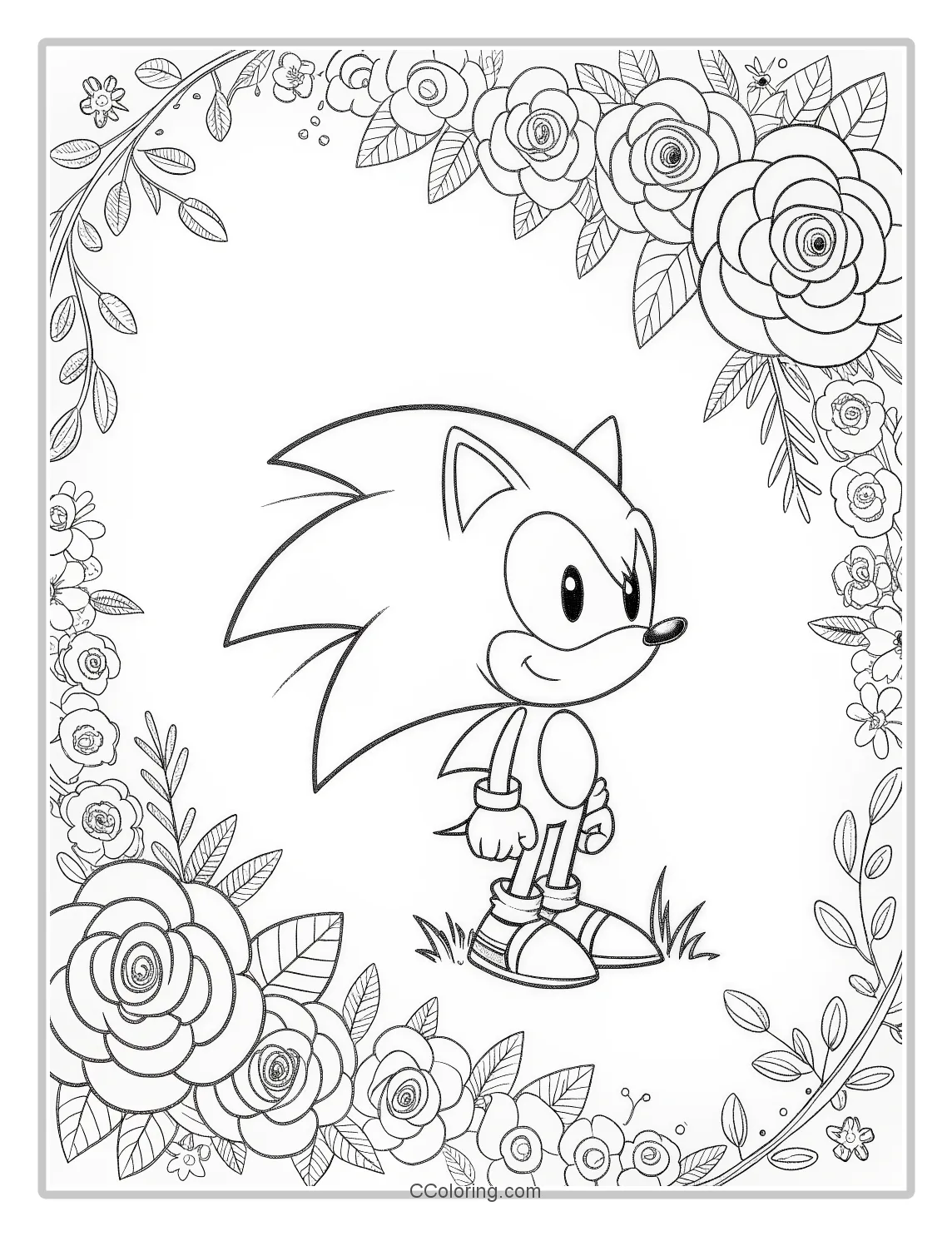 Super Sonic Coloring Pages Black and White Romantic Floral Borders
