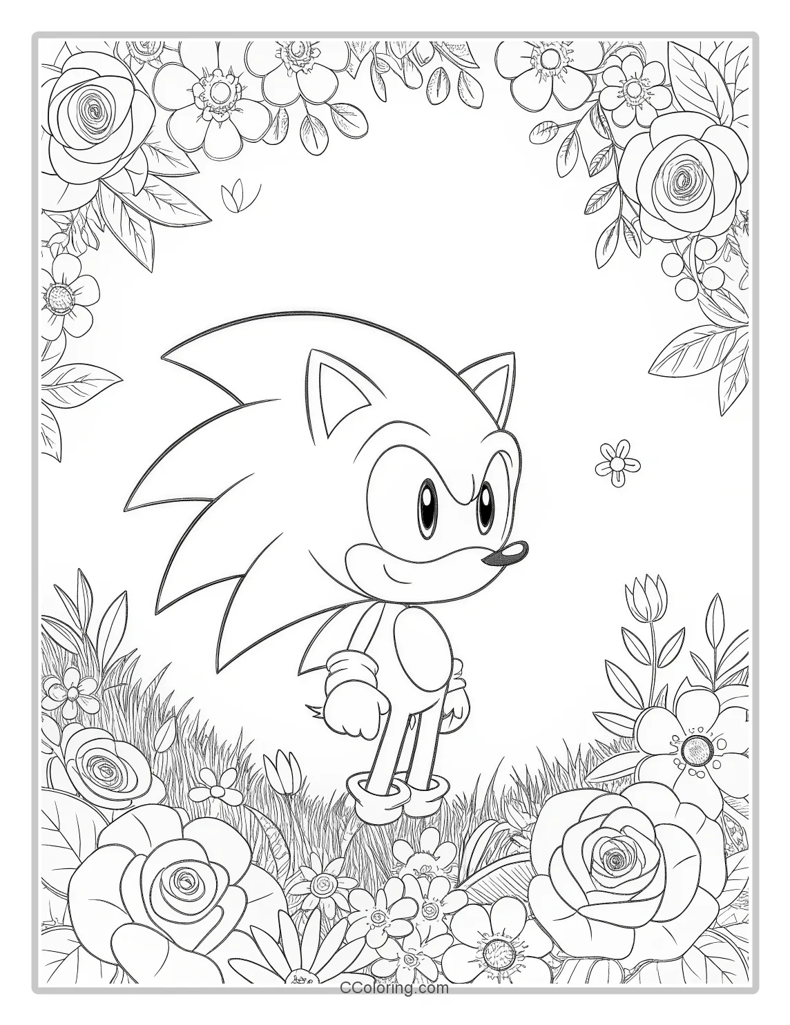 Super Sonic Coloring Pages Black and White with Romantic Floral Borders