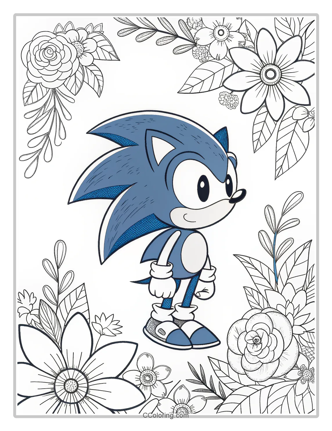 Super Sonic Coloring Pages Simple  High Contrast Floral Themes