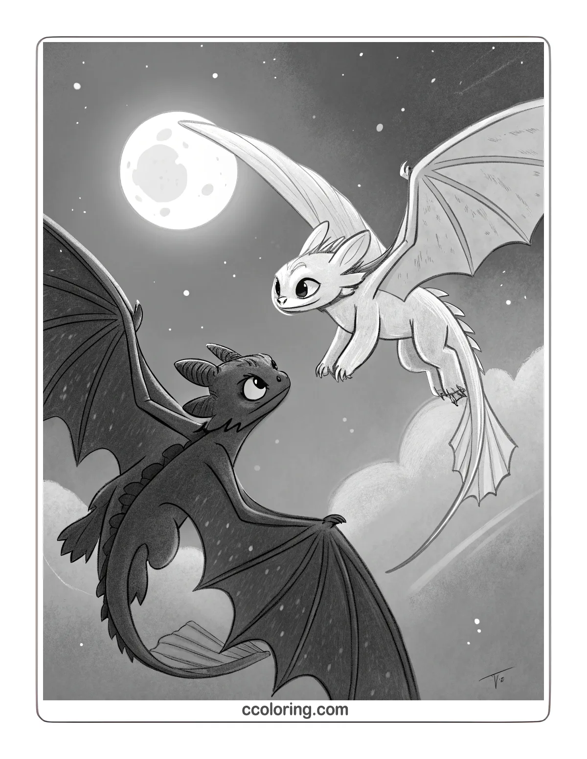 Toothless and Light Fury flying together in the night sky