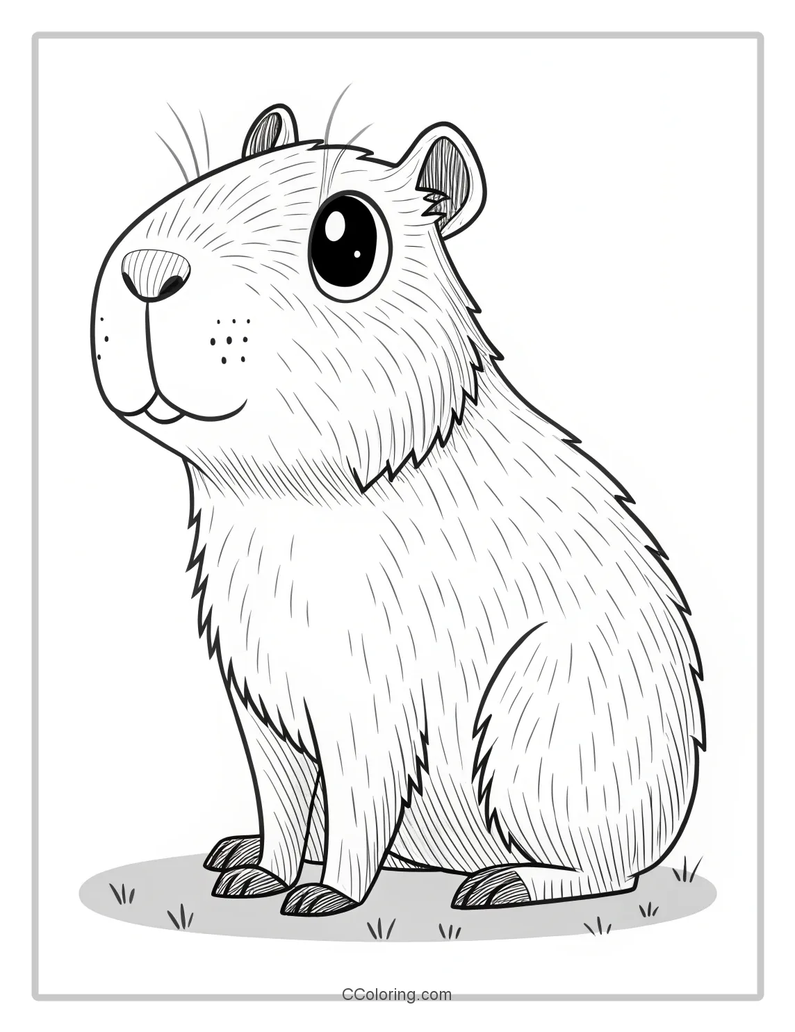 capybara coloring pages with large expressive eyes